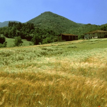 Nei pressi di Borgo S. Lorenzo